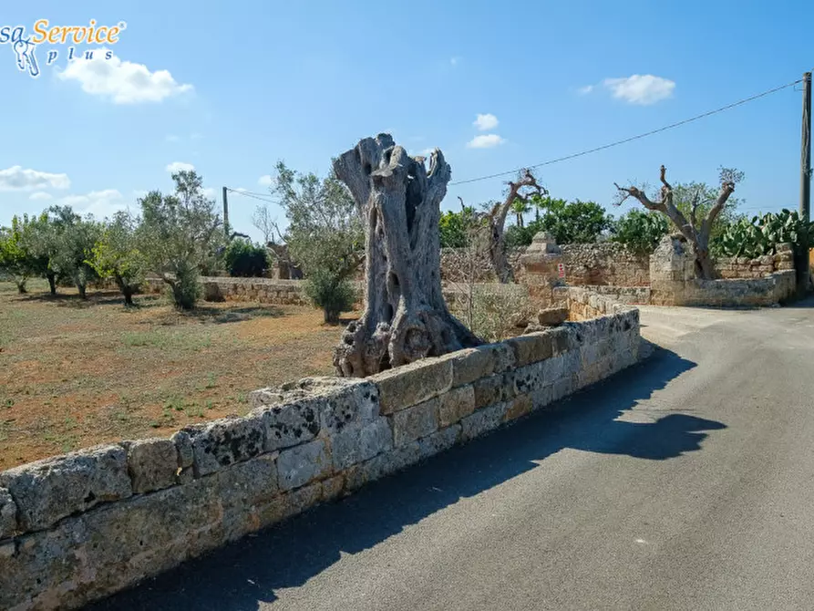Immagine 69 di Villa in vendita  in Via Gallipoli a Sannicola