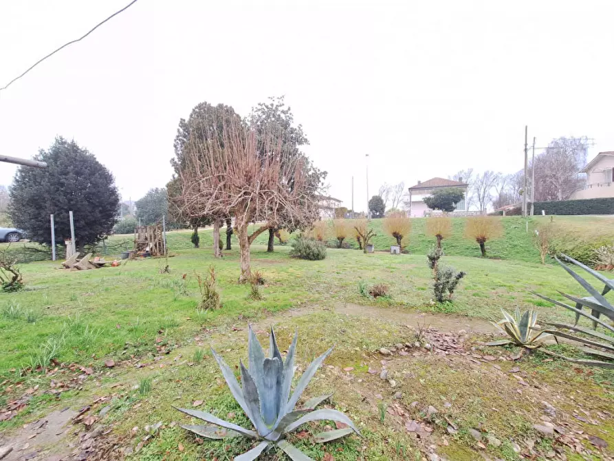 Immagine 5 di Casa bifamiliare in vendita  in VIA BELLINI a Rovigo