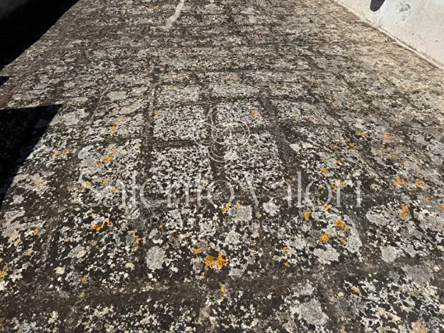 Immagine 51 di Casa indipendente in vendita  in Via Roma 24 a Parabita