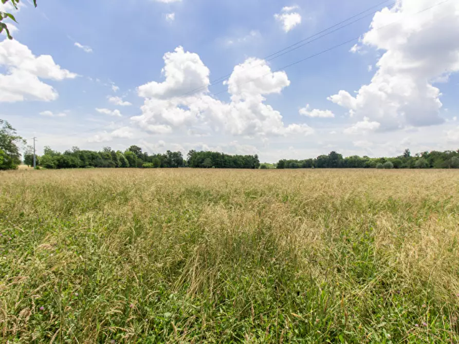 Immagine 6 di Rustico / casale in vendita  in Frazione Sant'Antonio a Castellamonte