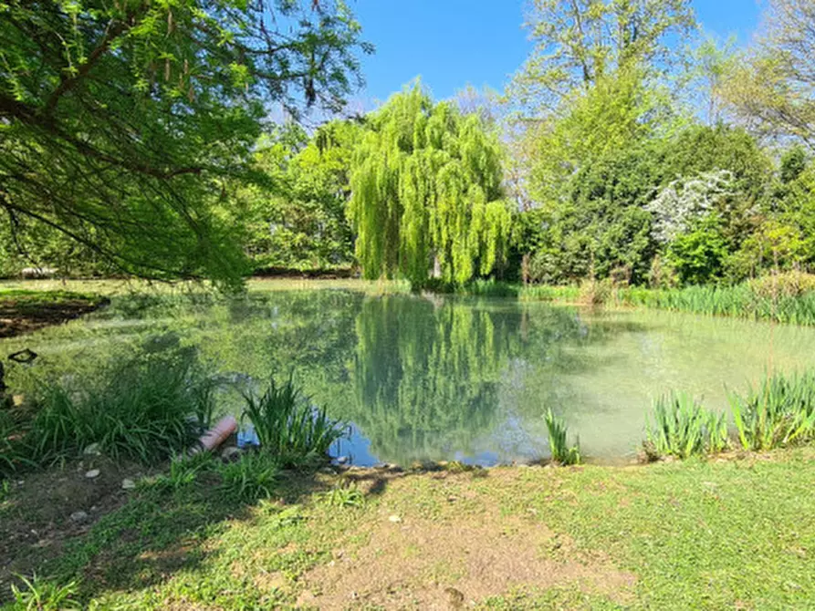 Immagine 10 di Rustico / casale in vendita  in Via Pieve a Riese Pio x