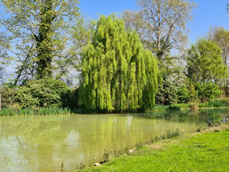 Immagine 10 di Rustico / casale in vendita  in Via Pieve a Riese Pio x