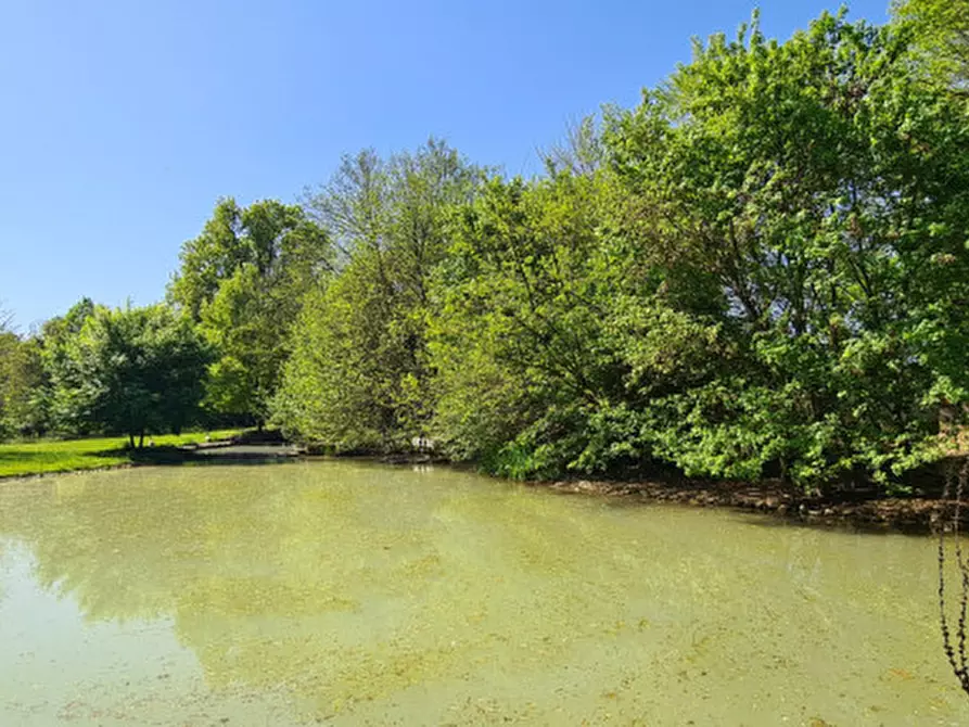 Immagine 11 di Rustico / casale in vendita  in Via Pieve a Riese Pio x