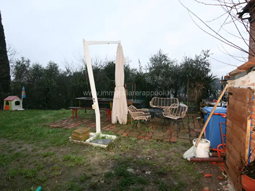 Immagine 11 di Appartamento in vendita  a Sinalunga