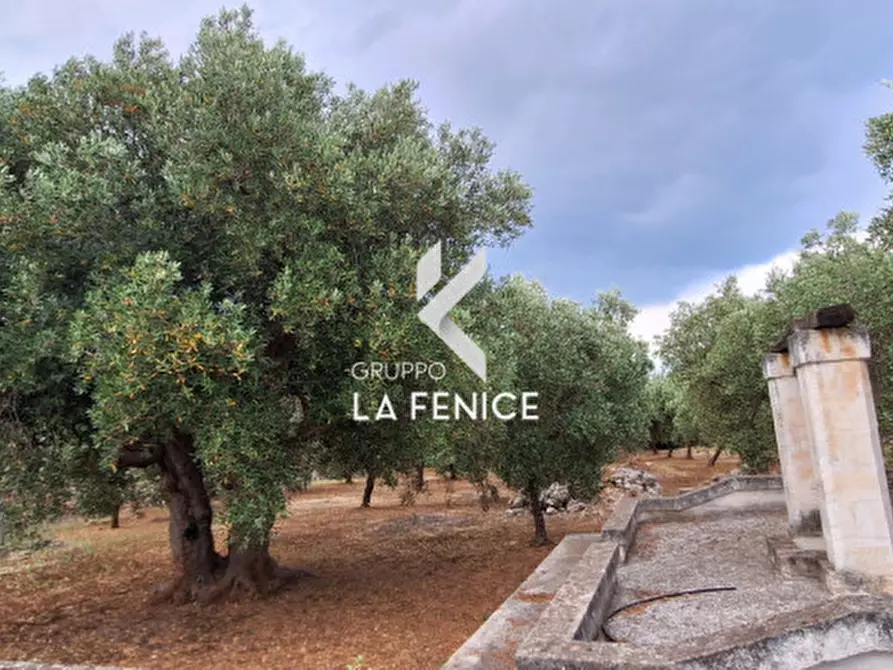 Immagine 87 di Rustico / casale in vendita  in Strada Lamacuoa a Fasano