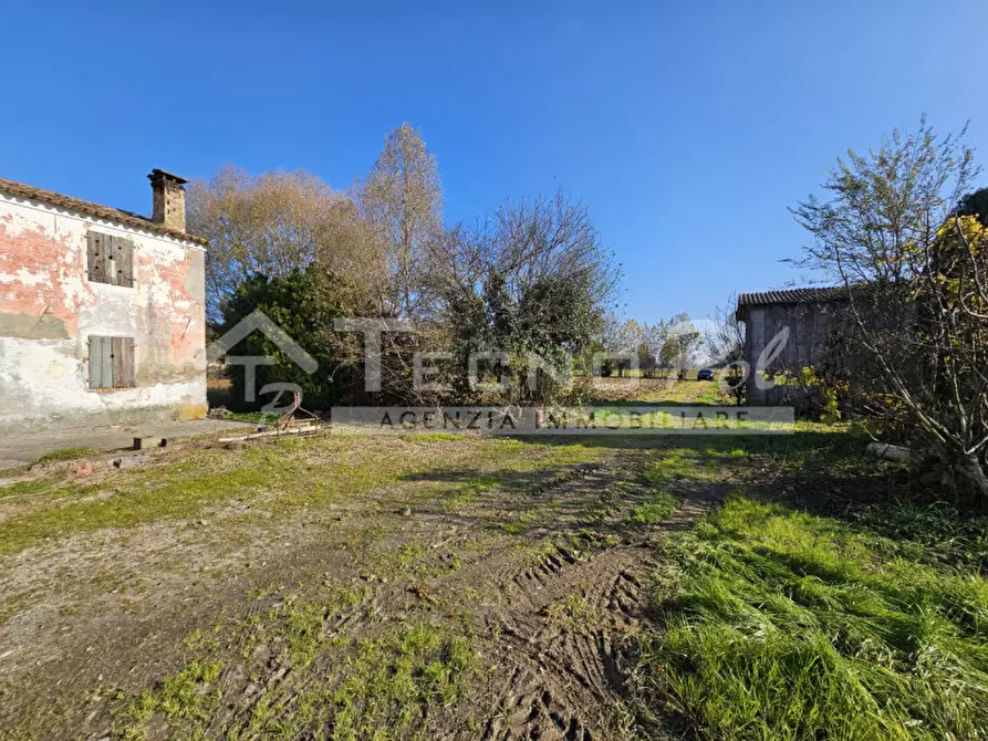 Immagine 2 di Rustico / casale in vendita  a Campodarsego