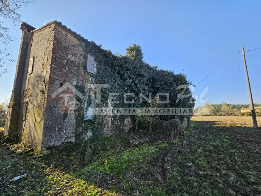 Immagine 3 di Rustico / casale in vendita  a Campodarsego