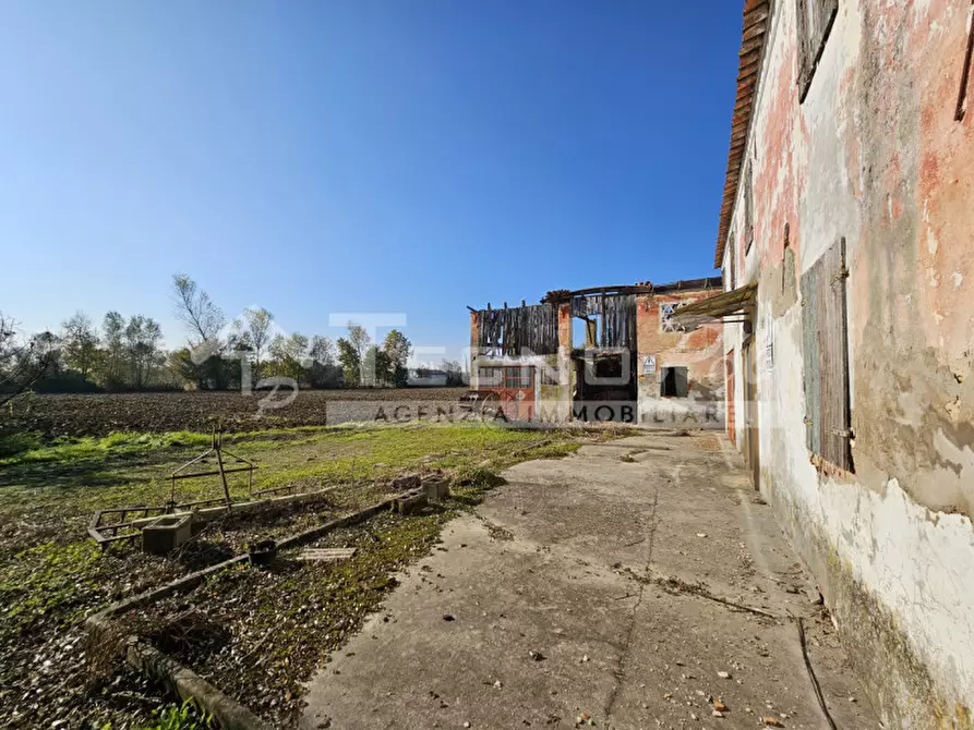 Immagine 4 di Rustico / casale in vendita  a Campodarsego