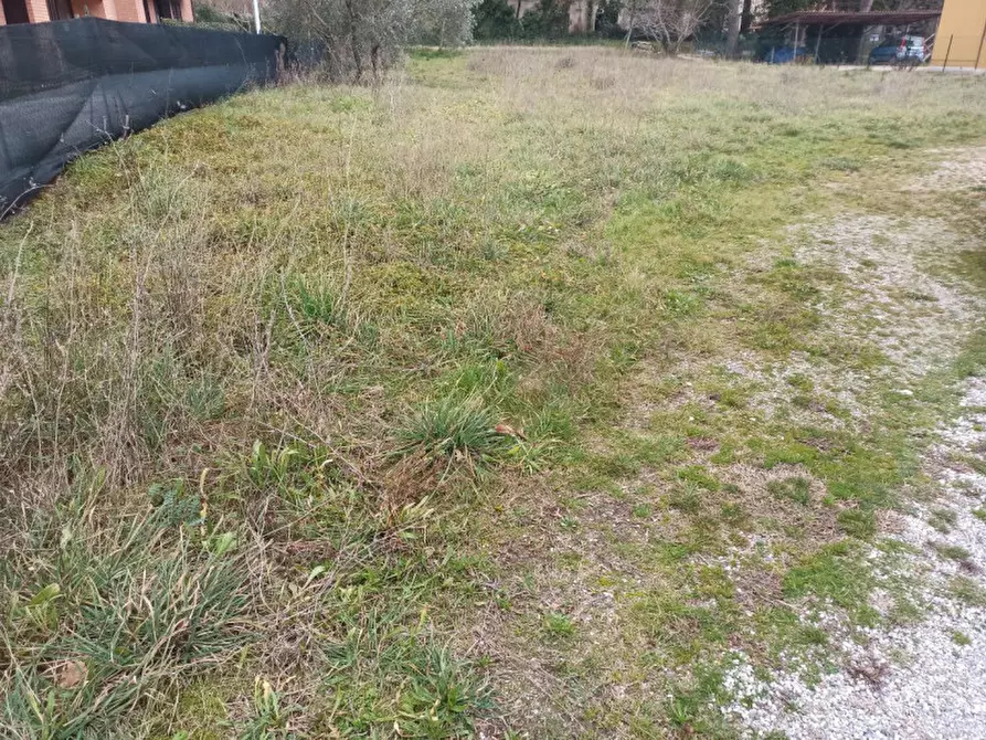 Immagine 6 di Terreno in vendita  a Castiglione Del Lago