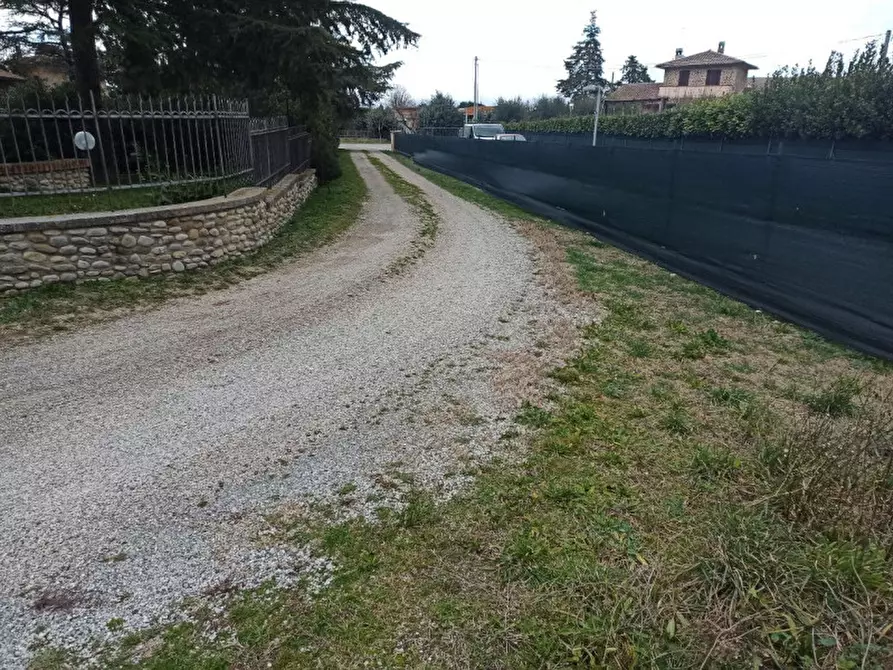 Immagine 10 di Terreno in vendita  a Castiglione Del Lago