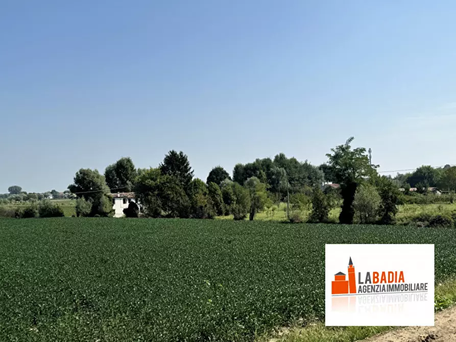 Immagine 2 di Terreno in vendita  in Via Ex Provinciale Rasa 122 a Lendinara