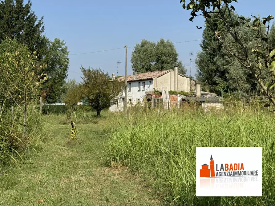 Immagine 4 di Terreno in vendita  in Via Ex Provinciale Rasa 122 a Lendinara