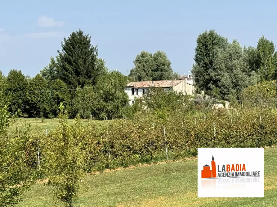 Immagine 5 di Terreno in vendita  in Via Ex Provinciale Rasa 122 a Lendinara