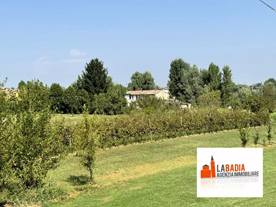 Immagine 6 di Terreno in vendita  in Via Ex Provinciale Rasa 122 a Lendinara