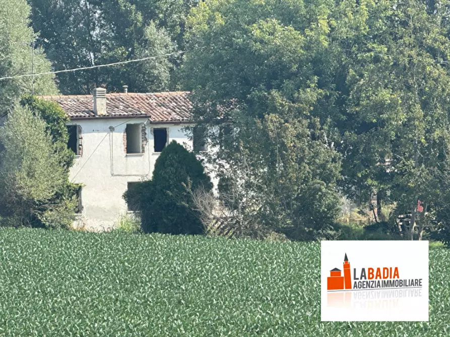 Immagine 7 di Terreno in vendita  in Via Ex Provinciale Rasa 122 a Lendinara