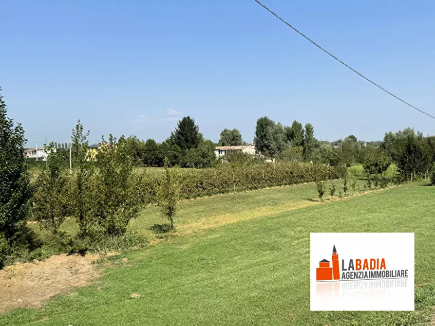 Immagine 8 di Terreno in vendita  in Via Ex Provinciale Rasa 122 a Lendinara
