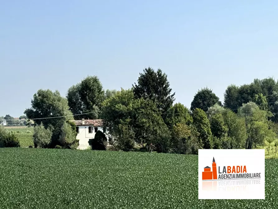 Immagine 9 di Terreno in vendita  in Via Ex Provinciale Rasa 122 a Lendinara