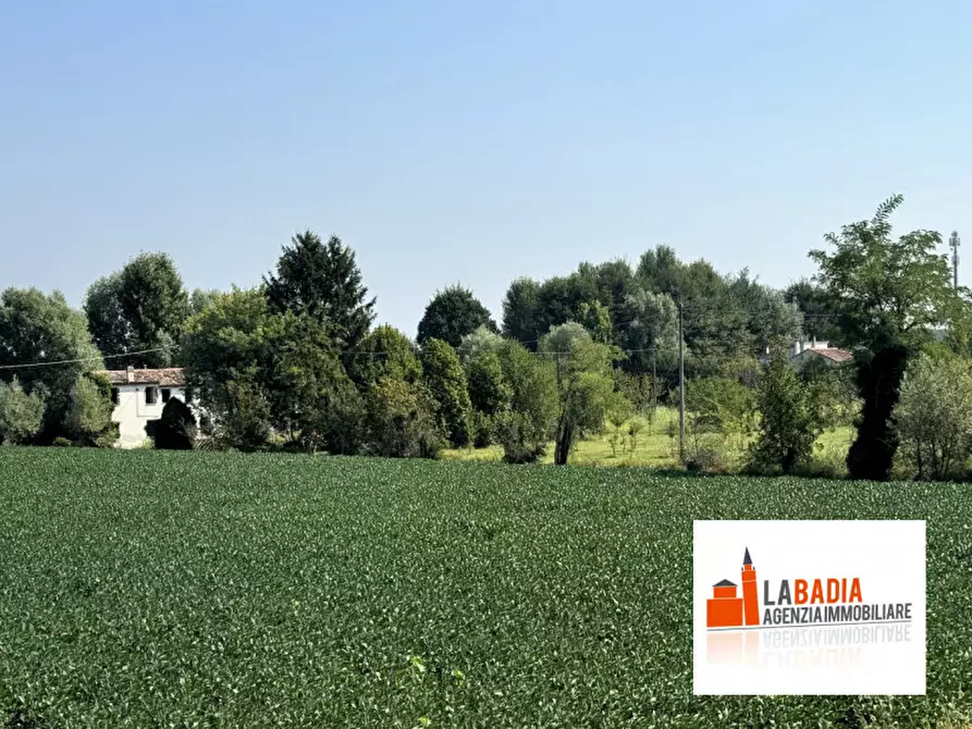 Immagine 10 di Terreno in vendita  in Via Ex Provinciale Rasa 122 a Lendinara