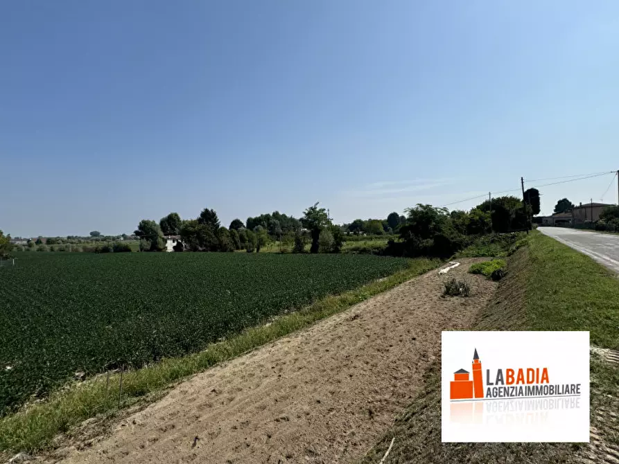 Immagine 11 di Terreno in vendita  in Via Ex Provinciale Rasa 122 a Lendinara
