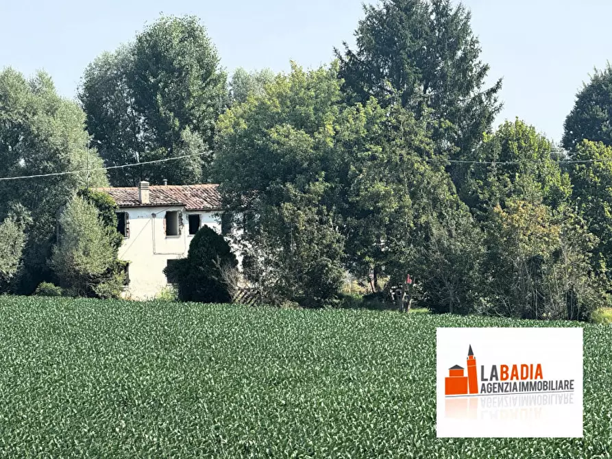 Immagine 12 di Terreno in vendita  in Via Ex Provinciale Rasa 122 a Lendinara