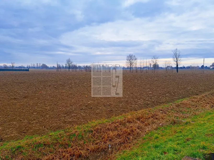Immagine 3 di Terreno in vendita  in via Panigaia a Castelfranco Veneto