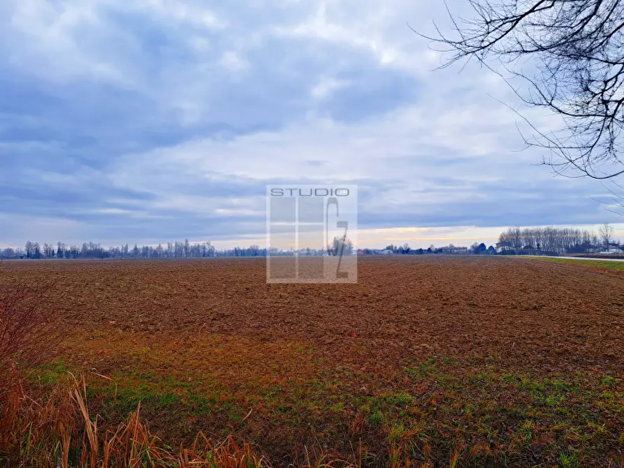 Immagine 5 di Terreno in vendita  in via Panigaia a Castelfranco Veneto