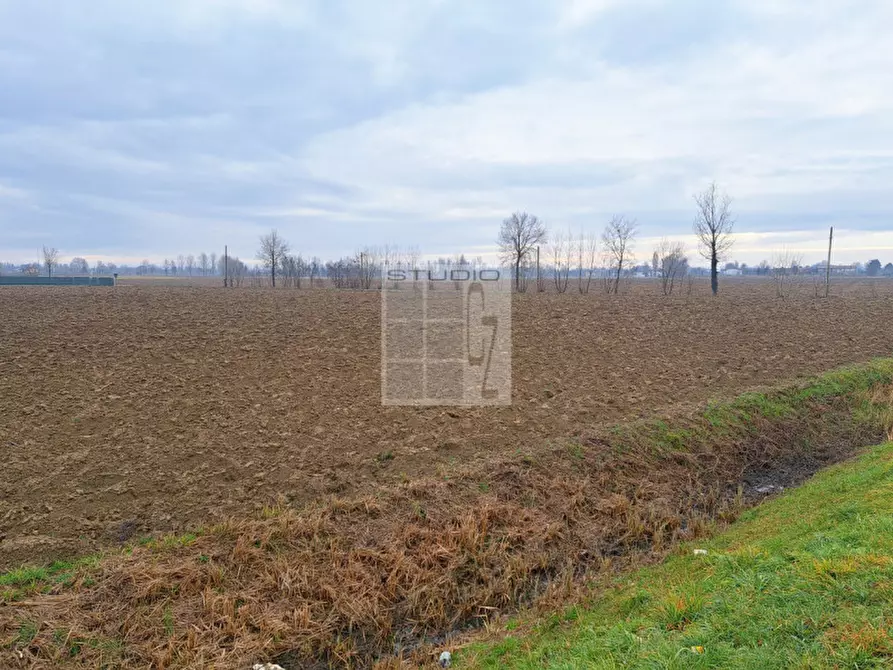 Immagine 6 di Terreno in vendita  in via Panigaia a Castelfranco Veneto