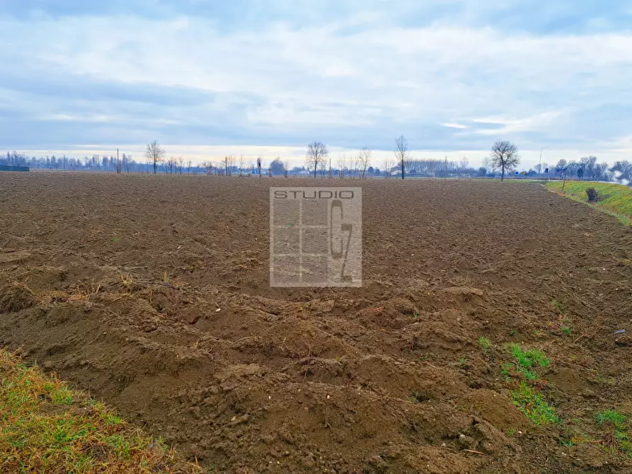 Immagine 8 di Terreno in vendita  in via Panigaia a Castelfranco Veneto