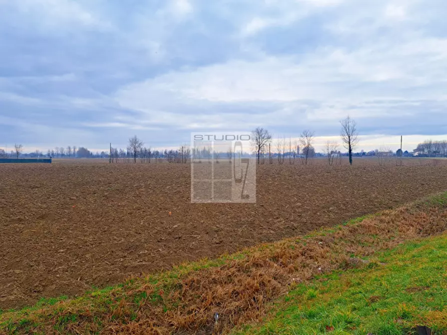 Immagine 9 di Terreno in vendita  in via Panigaia a Castelfranco Veneto