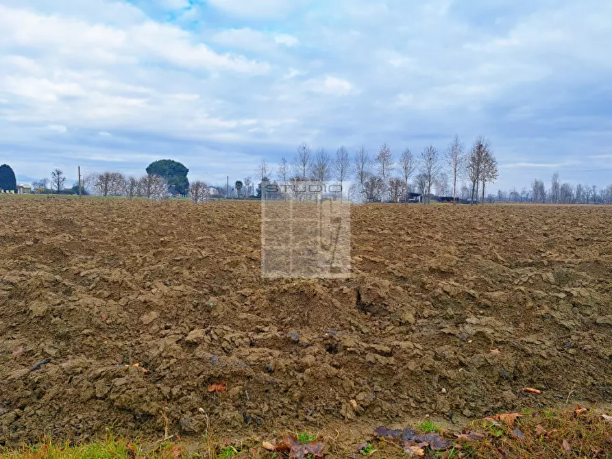 Immagine 10 di Terreno in vendita  in via Panigaia a Castelfranco Veneto