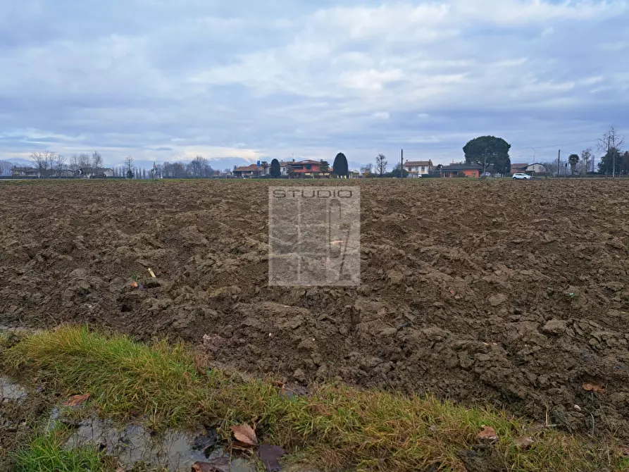 Immagine 10 di Terreno in vendita  in via Panigaia a Castelfranco Veneto
