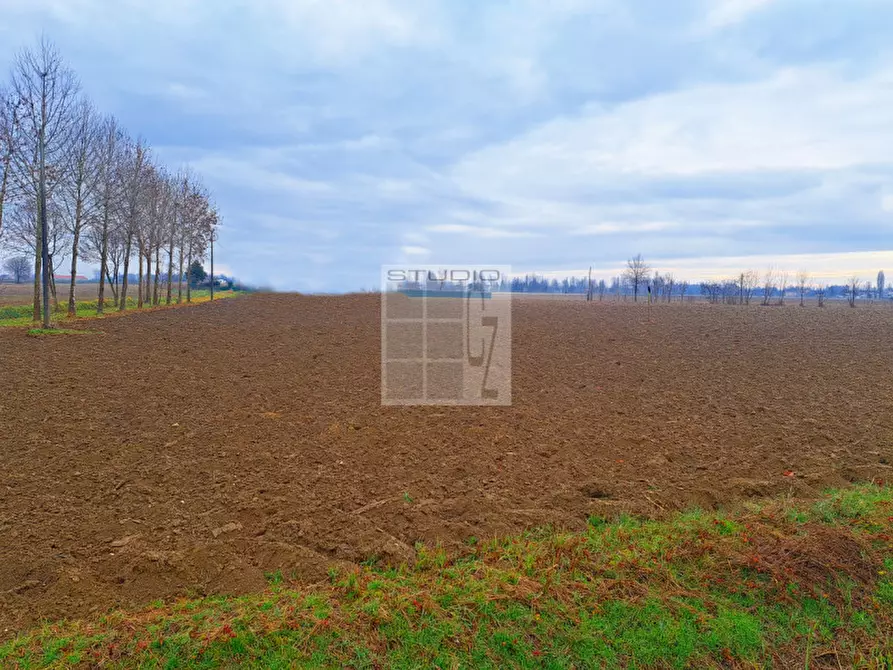 Immagine 11 di Terreno in vendita  in via Panigaia a Castelfranco Veneto