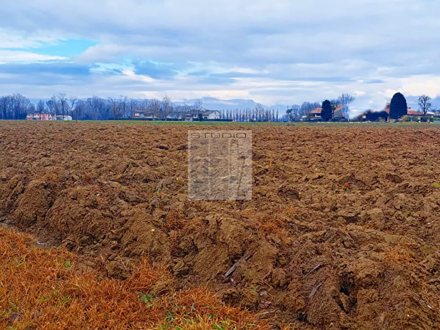 Immagine 11 di Terreno in vendita  in via Panigaia a Castelfranco Veneto