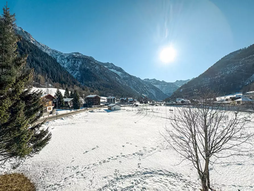 Immagine 4 di Villa in vendita  in frazione ponte 89 a Formazza