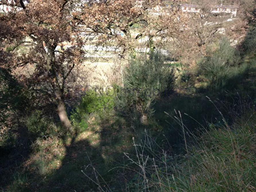 Immagine 22 di Terreno in vendita  a Corciano