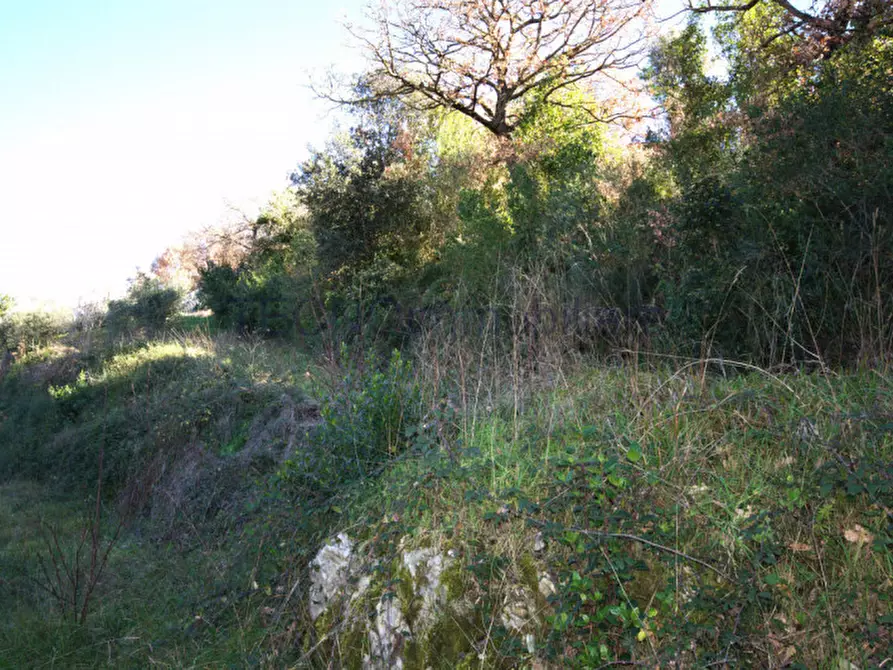 Immagine 23 di Terreno in vendita  a Corciano