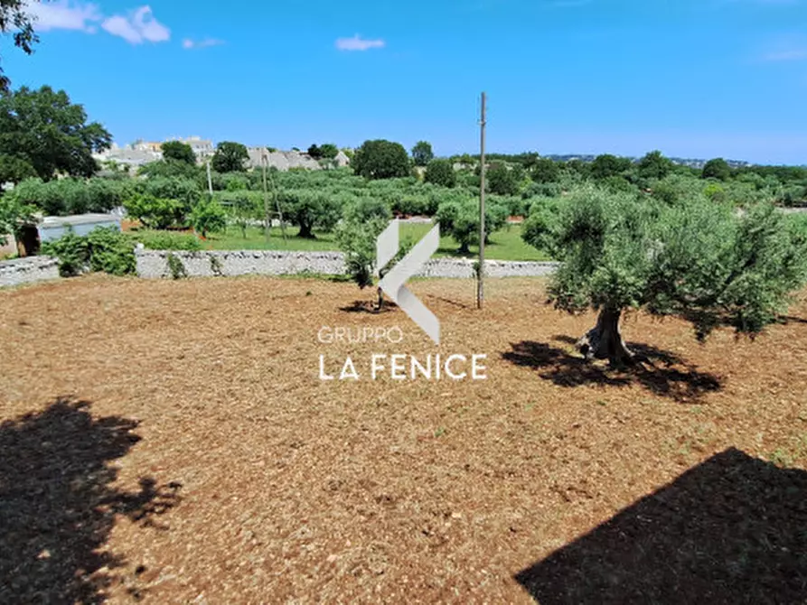 Immagine 25 di Rustico / casale in vendita  in contrada San Marco a Locorotondo