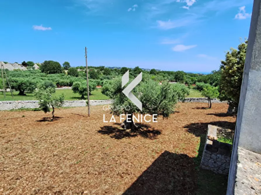 Immagine 26 di Rustico / casale in vendita  in contrada San Marco a Locorotondo