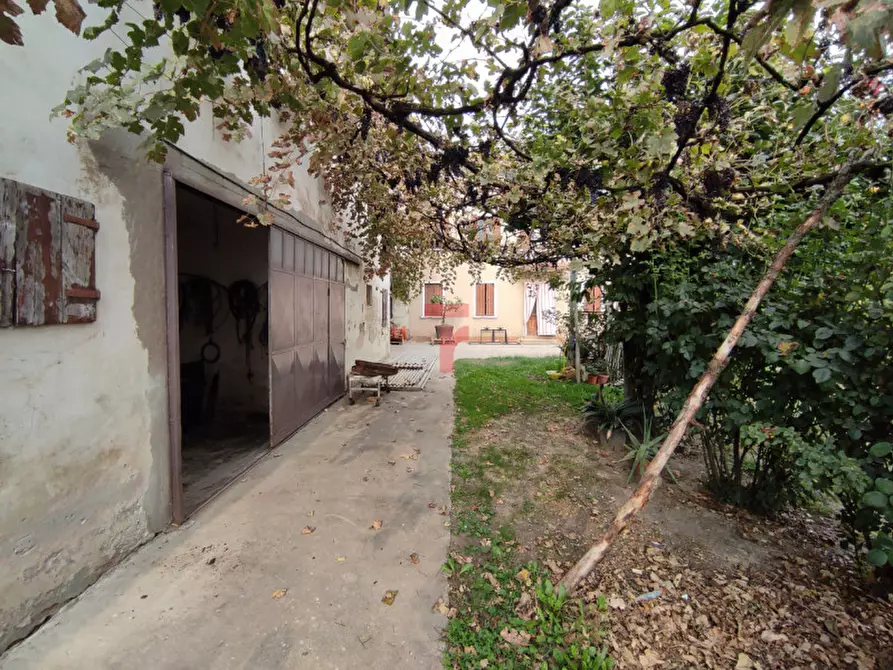 Immagine 16 di Rustico / casale in vendita  in Via Trieste a Vigodarzere