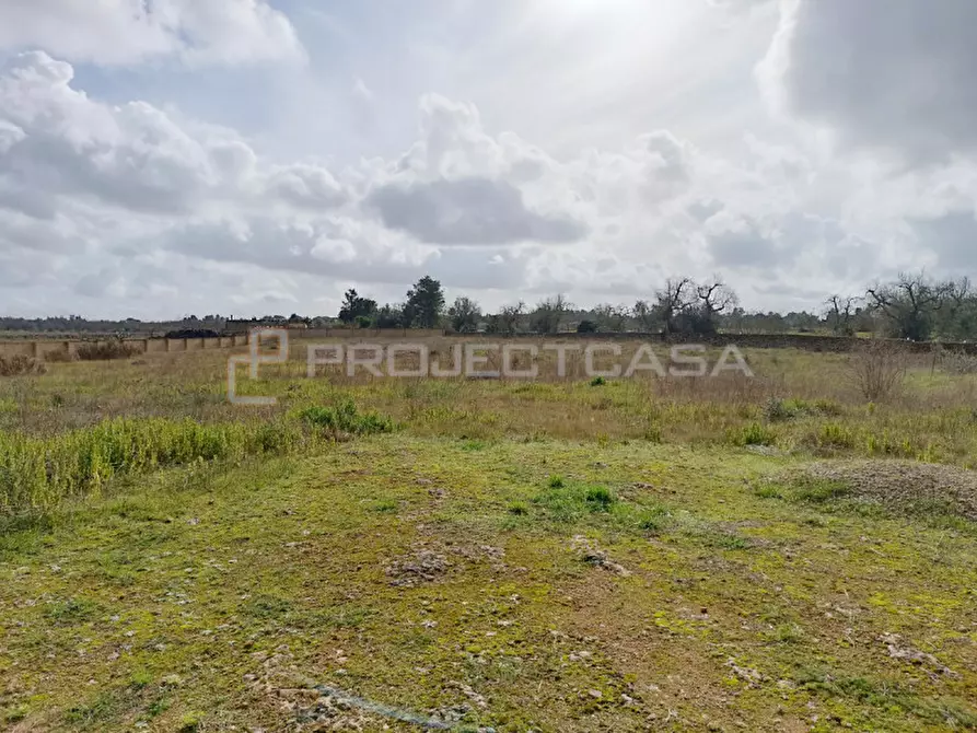 Immagine 3 di Terreno in vendita  in Località Favorita a Scorrano