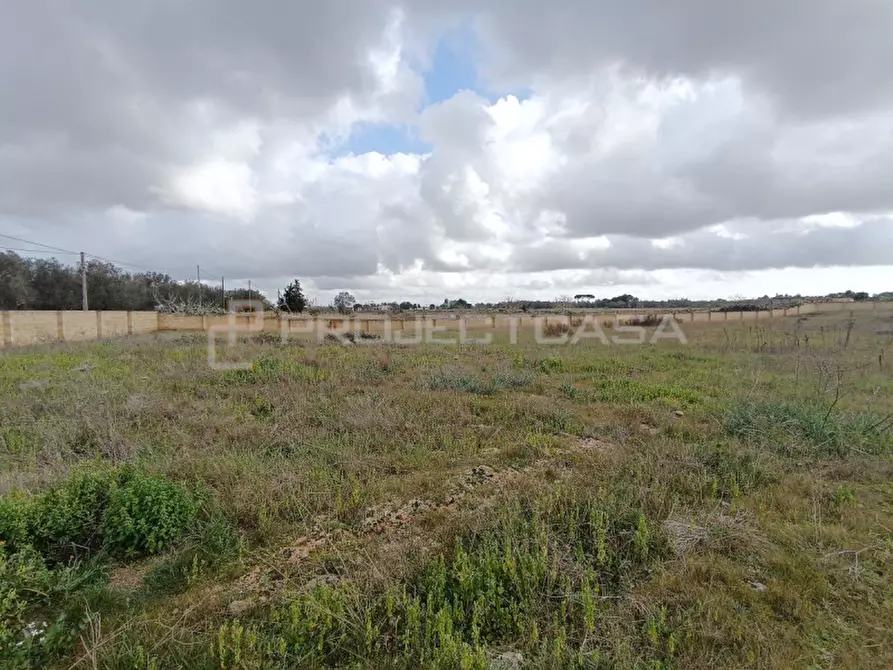 Immagine 4 di Terreno in vendita  in Località Favorita a Scorrano