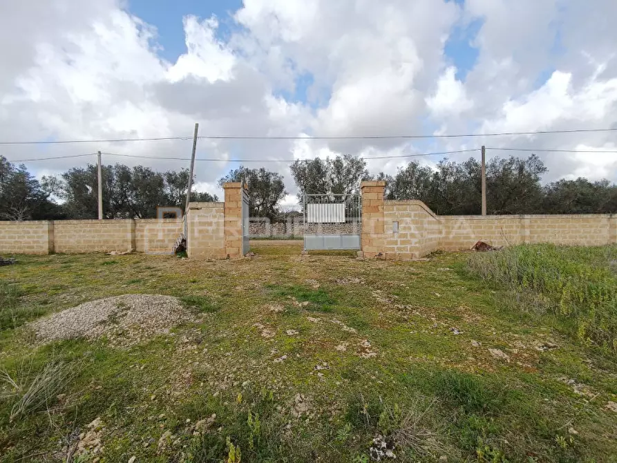 Immagine 7 di Terreno in vendita  in Località Favorita a Scorrano