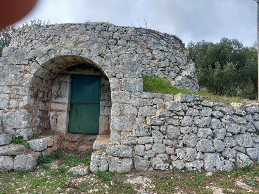 Immagine 2 di Rustico / casale in vendita  in C.da Vallegna a Ostuni