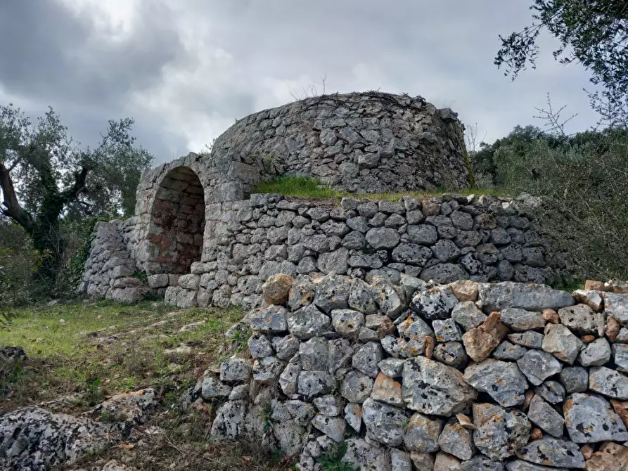 Immagine 3 di Rustico / casale in vendita  in C.da Vallegna a Ostuni