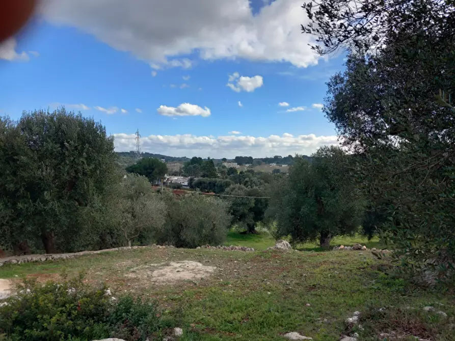 Immagine 5 di Rustico / casale in vendita  in C.da Vallegna a Ostuni