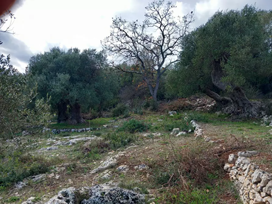 Immagine 8 di Rustico / casale in vendita  in C.da Vallegna a Ostuni