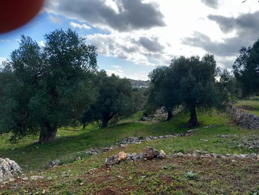 Immagine 9 di Rustico / casale in vendita  in C.da Vallegna a Ostuni