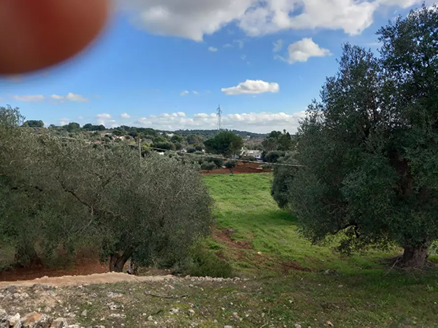 Immagine 10 di Rustico / casale in vendita  in C.da Vallegna a Ostuni