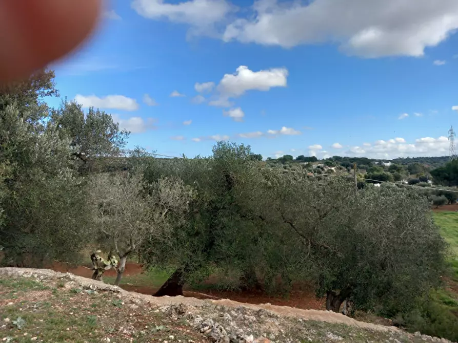 Immagine 11 di Rustico / casale in vendita  in C.da Vallegna a Ostuni
