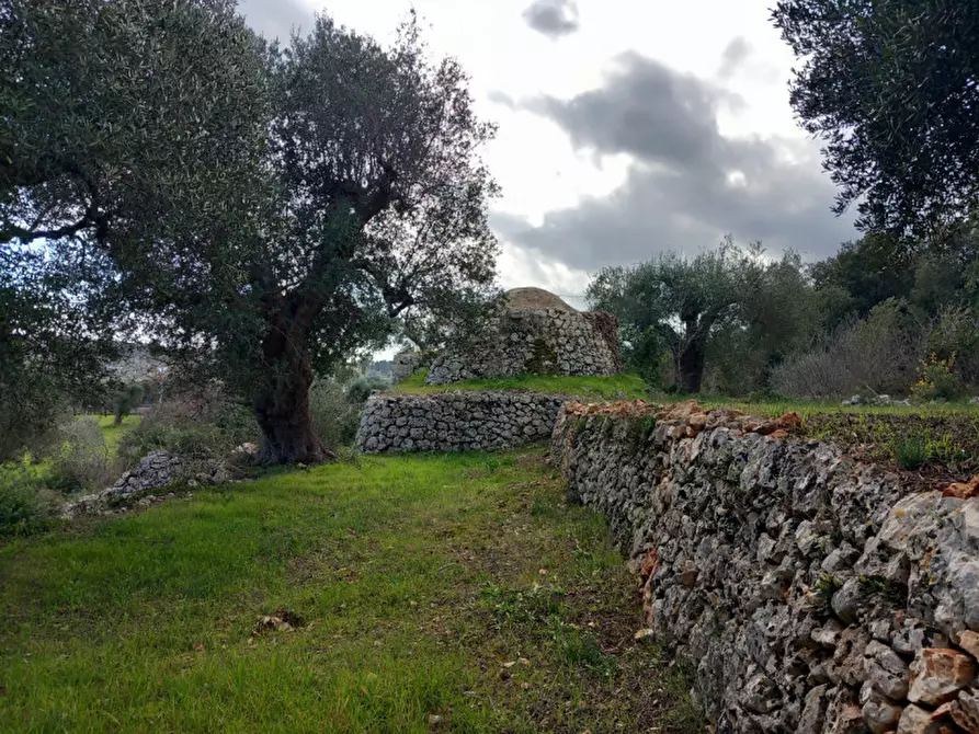 Immagine 12 di Rustico / casale in vendita  in C.da Vallegna a Ostuni